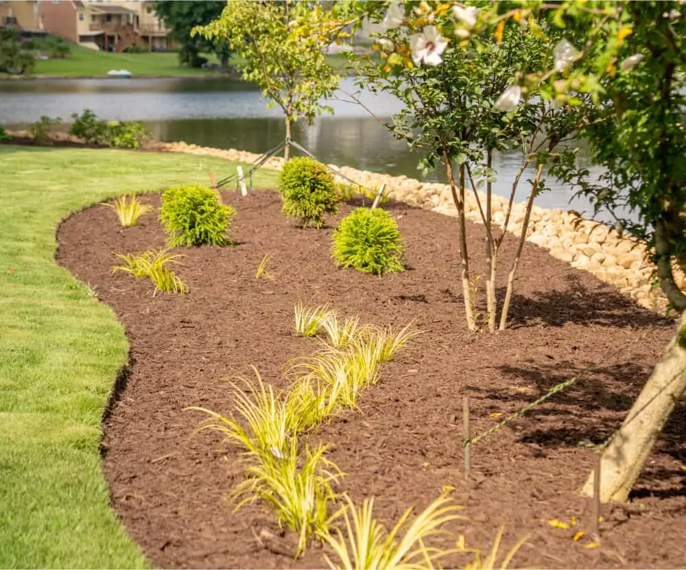 Healthy, well-watered planting beds in full color