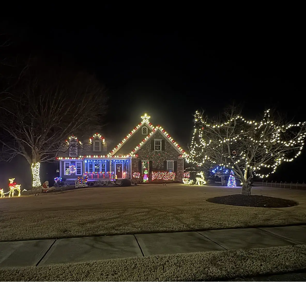 Festive holiday display at night with roofline lights, tree trunks wrapped in lights, and lit lawn decorations