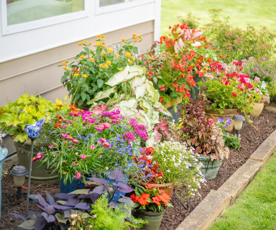 Vibrant bed of container plantings and flowering annuals installed by KalKare