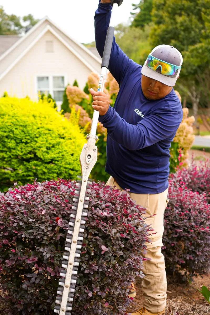 KalKare crew member cutting back a shrub with a hedge trimmer during a seasonal cleanup