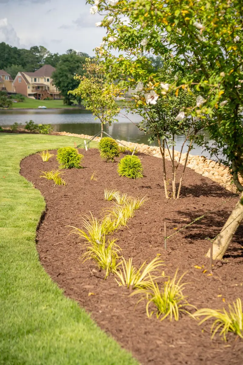New planting bed with ornamental grasses and fresh mulch.