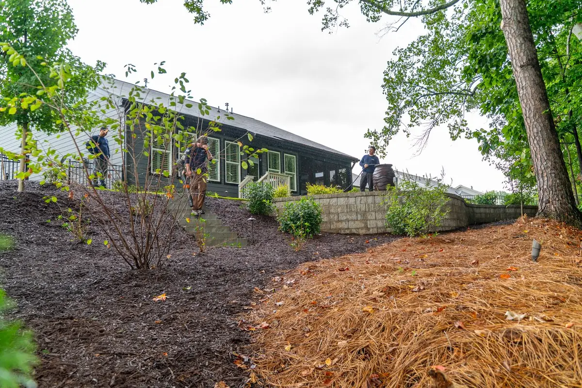 Pine-straw slope stabilized above a block retaining wall.