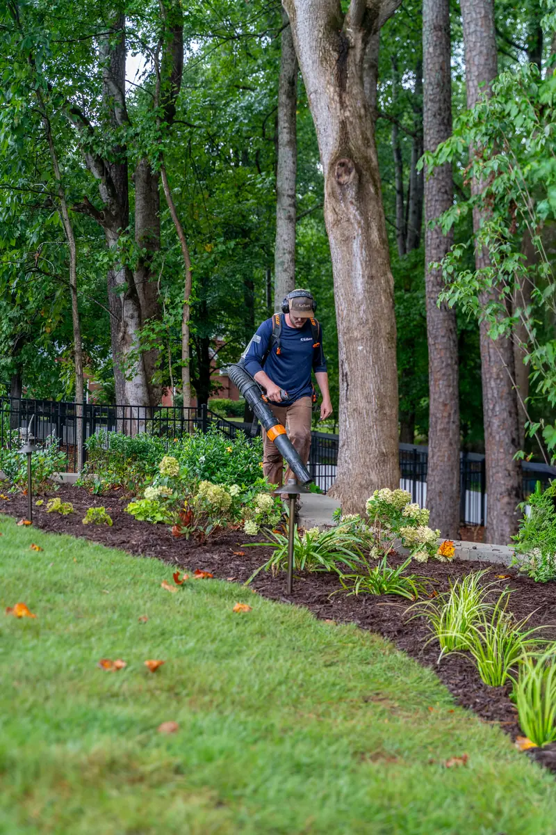 KalKare crew member clearing leaves from a mulched planting bed with a backpack blower