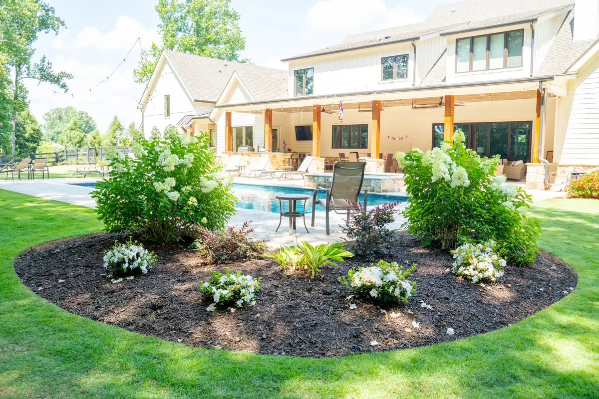 Freshly mulched island bed with hydrangeas and annuals in a backyard beside a pool