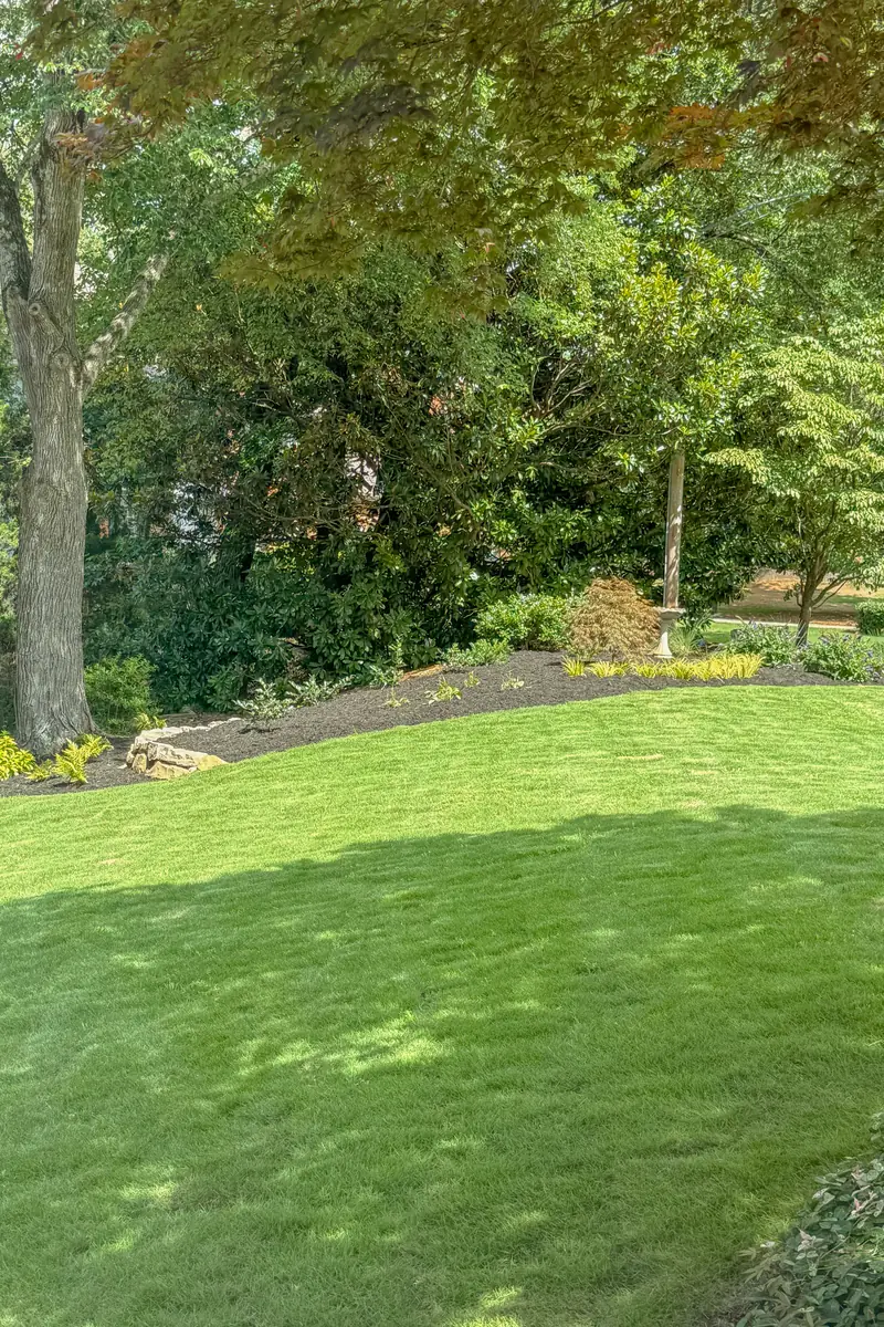 Established sod lawn under mature shade trees with a curved mulched border