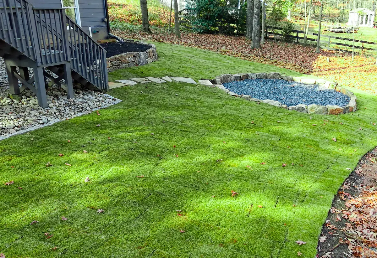 Freshly installed sod lawn in a backyard with stone edging and a river rock drainage bed