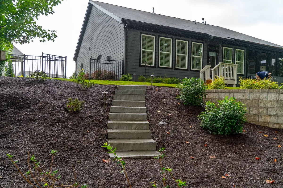 Stone steps and retaining wall shaping a planted slope.